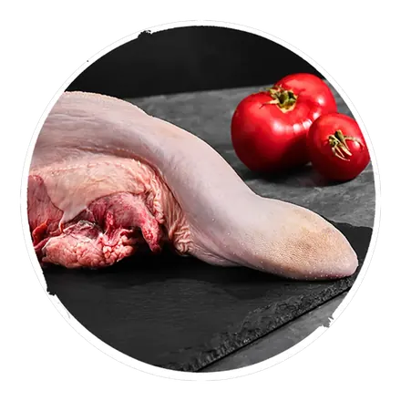 لسان كندوز